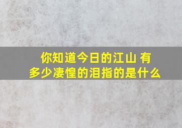 你知道今日的江山 有多少凄惶的泪指的是什么